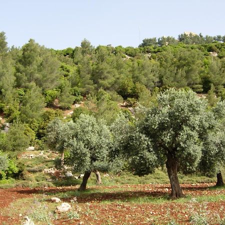 Ajloun Hotel מראה חיצוני תמונה