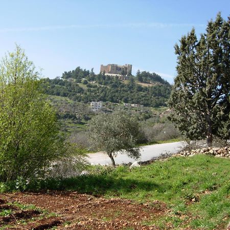 Ajloun Hotel מראה חיצוני תמונה