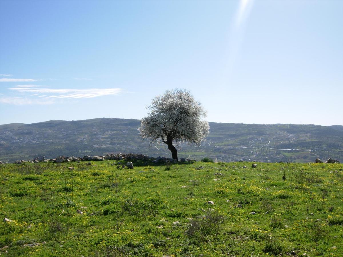 Ajloun Hotel מראה חיצוני תמונה