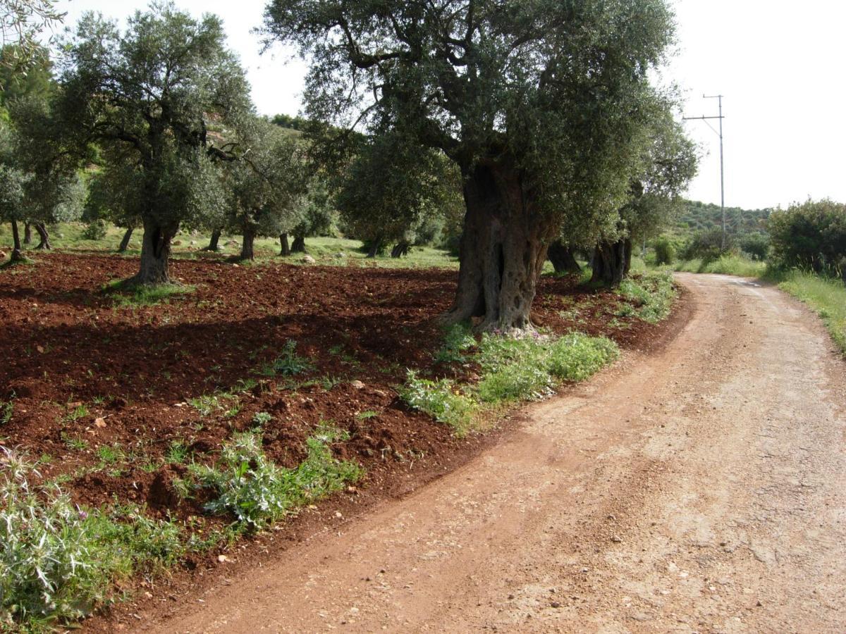 Ajloun Hotel מראה חיצוני תמונה