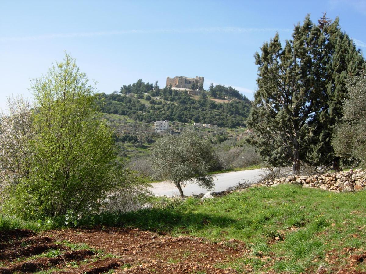 Ajloun Hotel מראה חיצוני תמונה